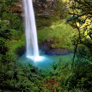 瀑布风景微信头像 秀丽高清绿色瀑布图片