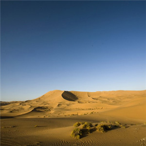 微信头像沙漠 干旱的沙漠图片