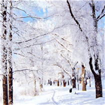 每个人都是独一无二的风景 雪景的出现更美了