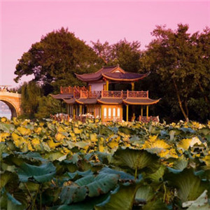 杭州西湖风景头像 主要的观赏性淡水湖泊之一