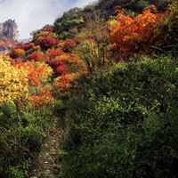 太行山风景图片高清 美丽的红叶微信头像图片