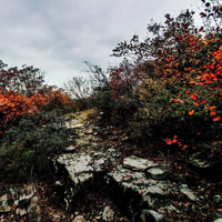太行山风景图片高清 美丽的红叶微信头像图片
