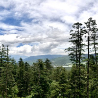 苍翠欲滴的浓绿山水美景，云南泸沽湖风景图片