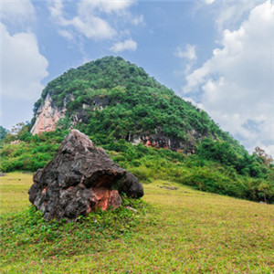 微信风景头像 德保红枫森林公园风景图片