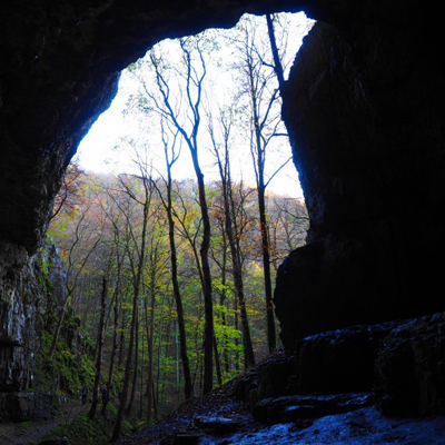 好看风景微信头像 天然形成的山洞洞口外的风景好美
