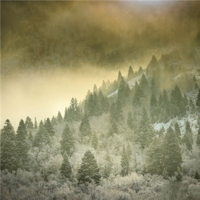 超漂亮的风景头像图片 山峦被迷雾显得神秘而秀美