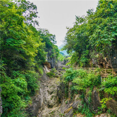 自然风景图片头像 高清深绿色自然景色图片