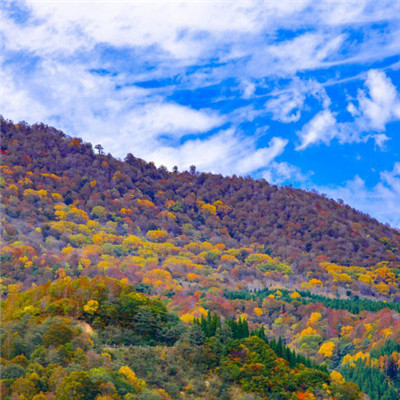 最靓丽的风景头像，日本长野县自然风景图片