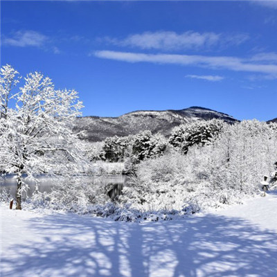 冬天唯美的雪景头像，下雪的冬天是极其美丽的