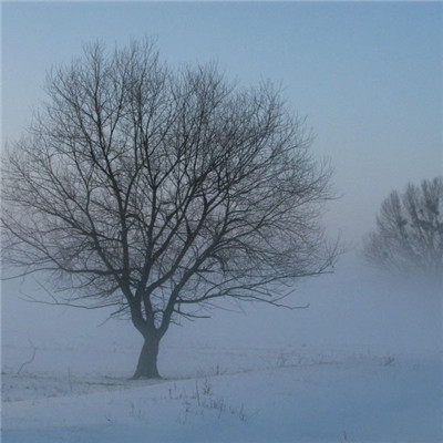 冬天唯美的雪景头像，下雪的冬天是极其美丽的