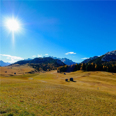 浅绿色风景头像，唯美高清山坡草地图片