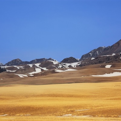 大美新疆优美的自然风景微信头像图片