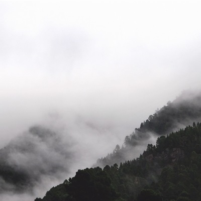 最美的风景微信头像 白茫茫的雾风景高清图片