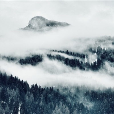 最美的风景微信头像 白茫茫的雾风景高清图片