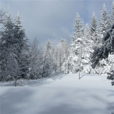 冬天雪景的微信头像，皑皑白雪风景高清图片