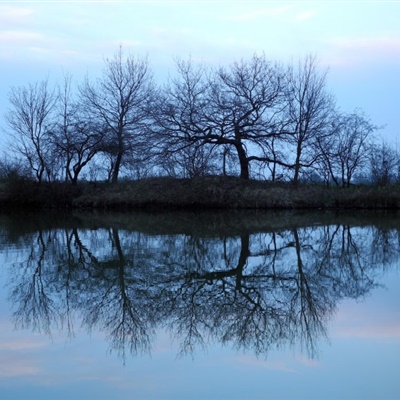 风景图片头像，树木在水中的倒影风景图片