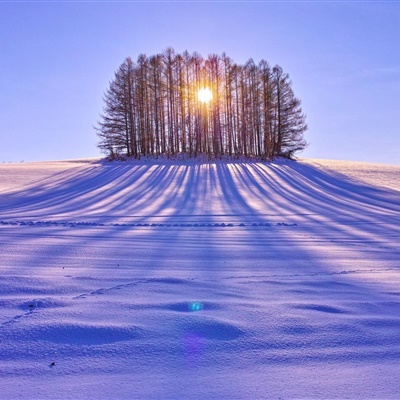 唯美雪景头像，好看的冬季雪景风景图片