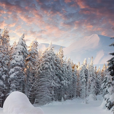 唯美雪景头像，好看的冬季雪景风景图片