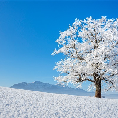 冬天风景微信头像，大自然微信冬天冰雪风景头像图片