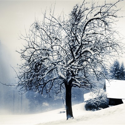 冬天风景微信头像，大自然微信冬天冰雪风景头像图片