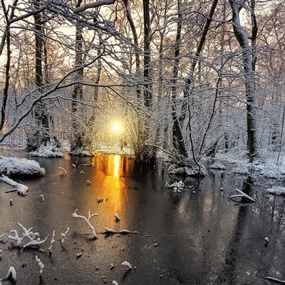 唯美雪景头像，美丽的冬季风光雪景做头像真是不错的