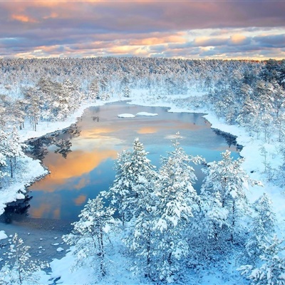 唯美雪景头像，美丽的冬季风光雪景太陶醉了