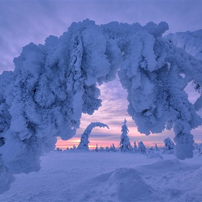 唯美雪景头像，美丽的冬季风光雪景太陶醉了