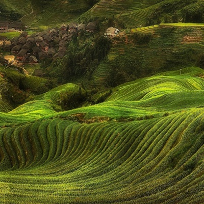 大草原风景头像，好看绿色风景美丽的草原图片