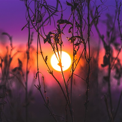 夕阳的微信头像 傍晚的夕阳朦胧风景头像高清图片