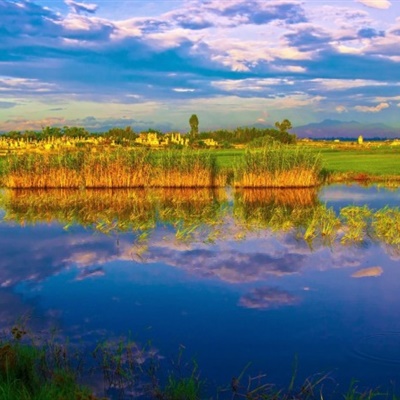 静谧平静的沼泽自然风景微信头像图片