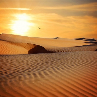一望无垠荒凉的沙漠风景QQ微信头像图片