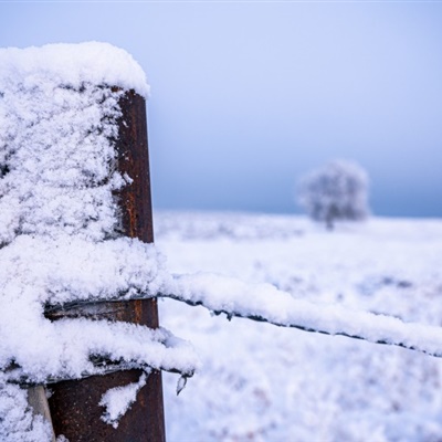 寒冬雪景微信头像图片 眼见之处都是晃眼的洁白