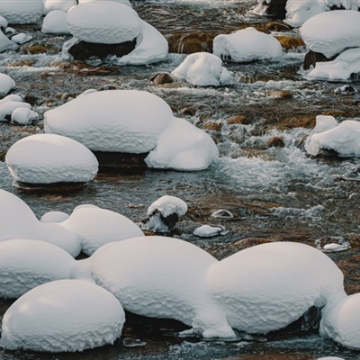 寒冬雪景微信头像图片 眼见之处都是晃眼的洁白