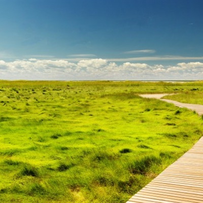 宽广绿色的草原风景微信头像图片