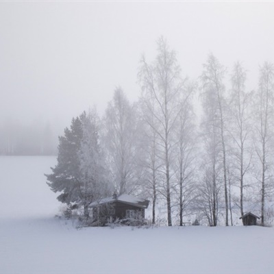 雪景头像 唯美冬季雪景风景太美了