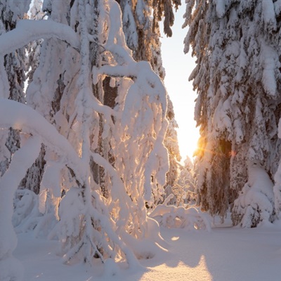 雪景头像 唯美冬季雪景风景太美了