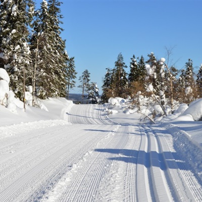 雪景头像 唯美冬季雪景风景太美了