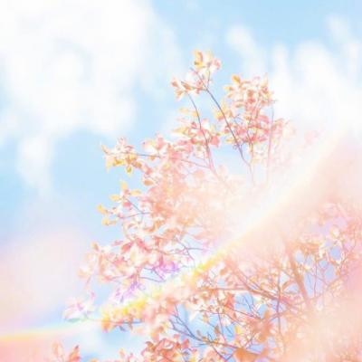 微信头像唯美，微信头像唯美意境阳光创意