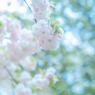 微信头像唯美，微信头像唯美意境阳光创意
