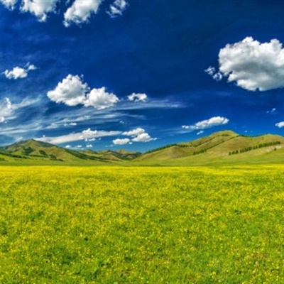 绿色风景微信头像 绿色一望无际的草甸风景图片