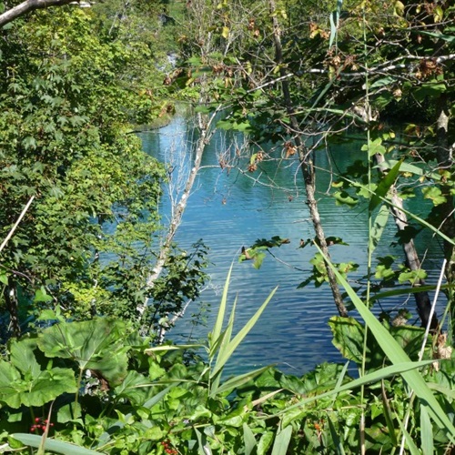 自然风景微信头像，最美的青山绿水送给朋友们