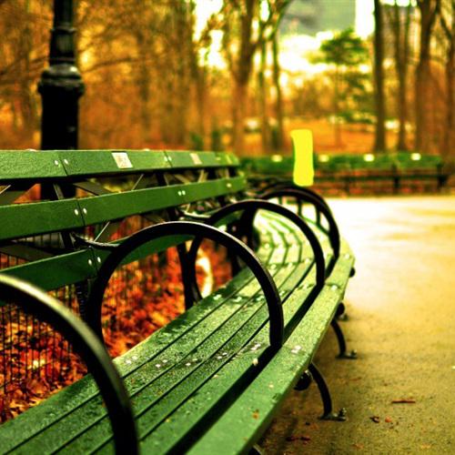 夏天小清新微信头像，公园的一角休憩的木质长椅