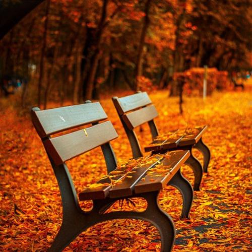 夏天小清新微信头像，公园的一角休憩的木质长椅