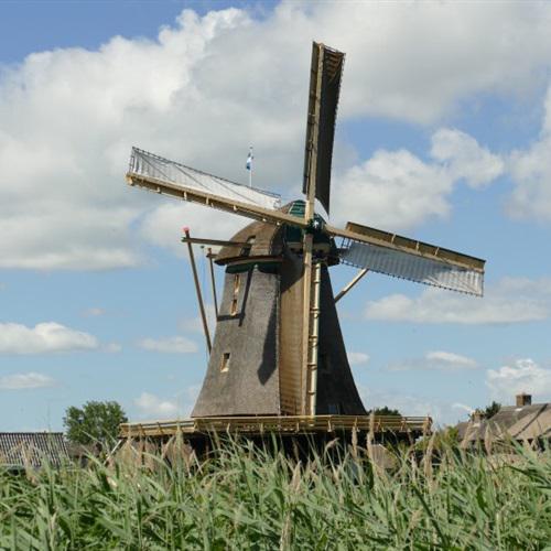 唯美风车头像，经典的荷兰风车做微信头像非常不错的