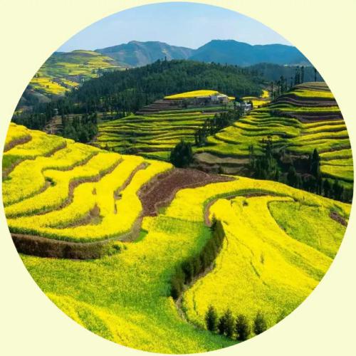 适合长期用的微信头像，足足30张中国最美的风景主题