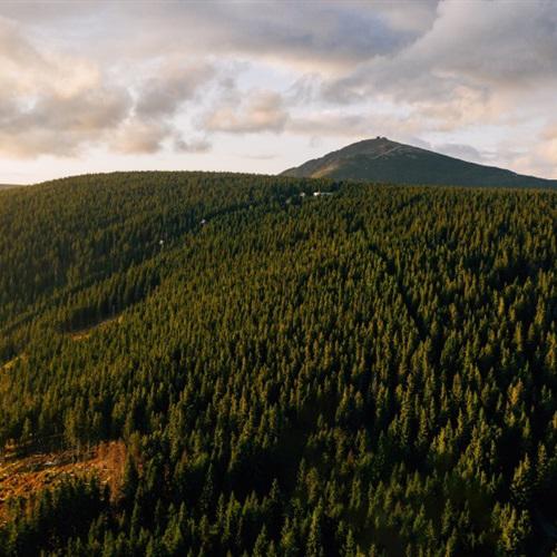 风景头像，波兰克尔科诺谢山自然风景