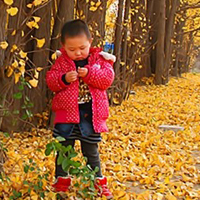 银杏园之可爱小孩子头像图片,在银杏园内妈妈给拍的,好幸福呀