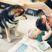 小孩子和狗狗在一起的头像图片精选_宝宝和狗狗一起长大