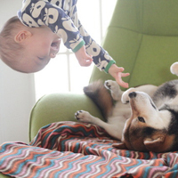 小孩子和狗狗在一起的头像图片精选_宝宝和狗狗一起长大