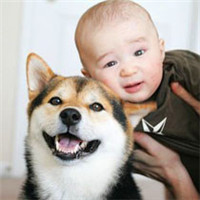 小孩和狗狗萌照头像,可爱小孩和狗狗头像图片大全